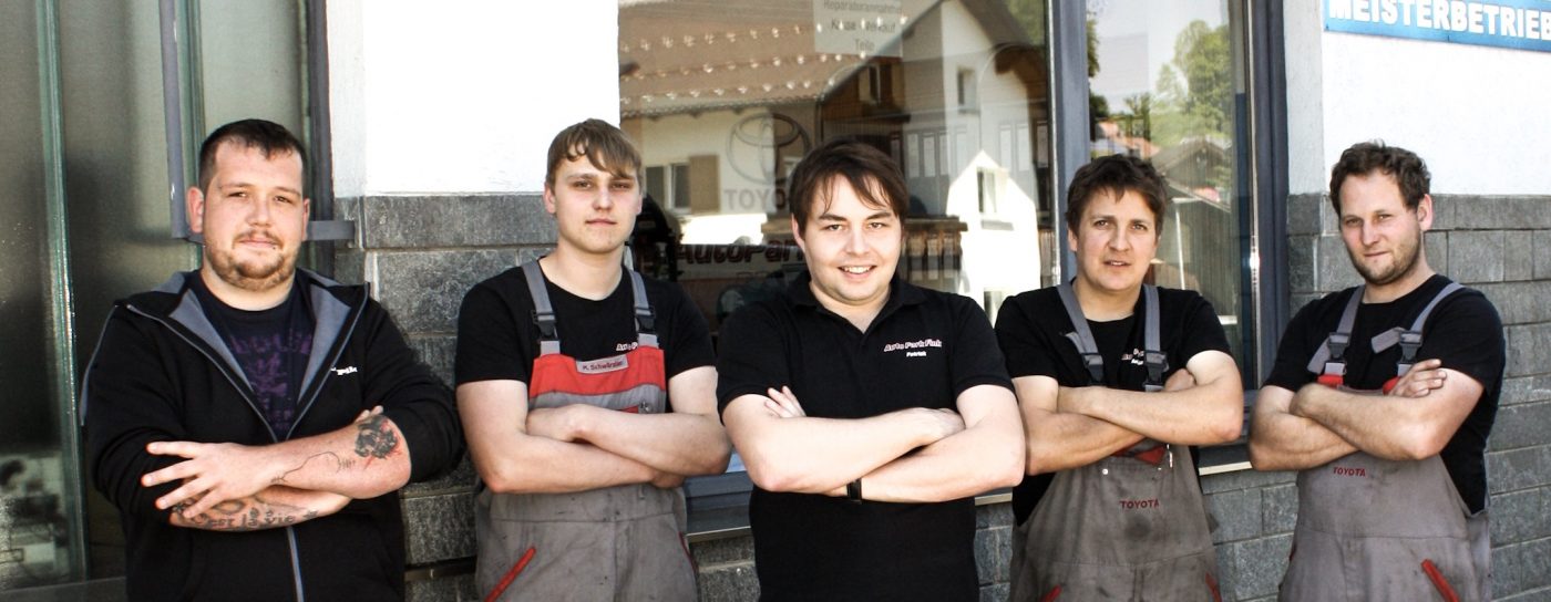 Team Autopark Fink Hybrid-Profi