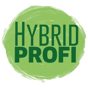 Hybrid Profi